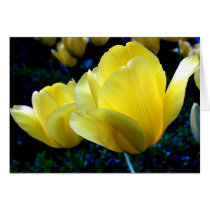 Springtime cards