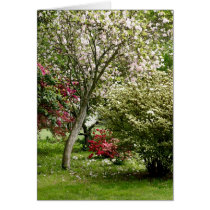 Springtime cards