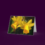 Springtime