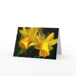 Springtime cards