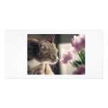 Springtime Cat Custom Photo Card