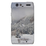 Springtime Colorado Rocky Mountains Boulder Motorola Droid RAZR Covers