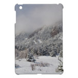 Springtime Colorado Rocky Mountains Boulder iPad Mini Case