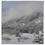 Springtime Colorado Rocky Mountains Boulder Printed Napkins