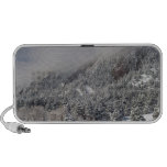 Springtime Colorado Rocky Mountains Boulder Mini Speakers