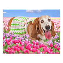 Springtime Custom Invite