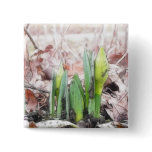 Springtime!  Daffodil Shoots! Pins