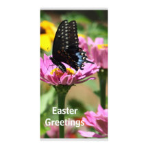 Springtime Delight Photo Card