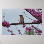 Springtime Greetings Poster