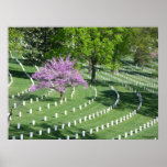Springtime in Arlington National Cemetery Print