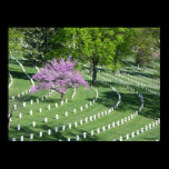 Springtime in Arlington National Cemetery posters