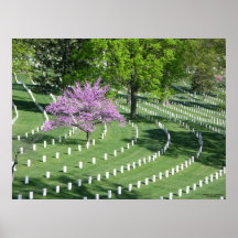 Springtime in Arlington National Cemetery Print