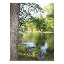 "Springtime in East Tennessee" Postcard