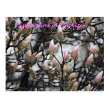 Springtime in Michigan Postcard