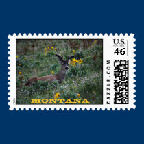 Springtime In Montana stamps