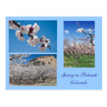Springtime in Palisade, CO Template Postcard