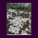 Springtime in the Ozarks