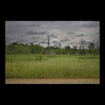 Springtime Meadow print posters