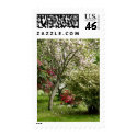 Springtime (Medium) postage
