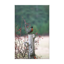 Springtime on San Juan Island Stretched Canvas Print