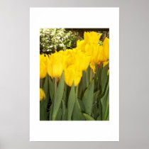 Springtime on the Strip Print
