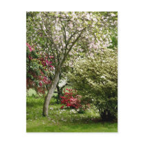 Springtime postcards by lioneyes Springtime postcards