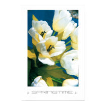 ::: SPRINGTIME ::: posters by studio1411 ::: SPRINGTIME ::: posters