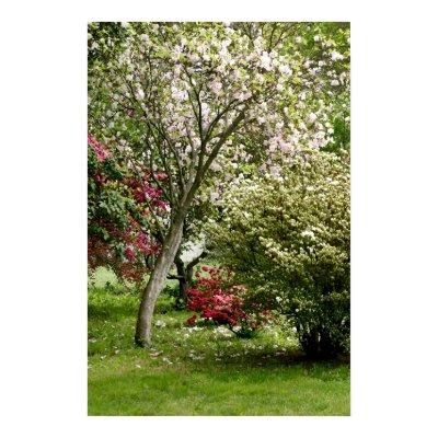 Springtime Poster by lioneyes