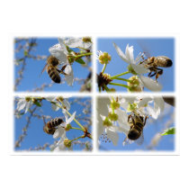 Springtime! posters by chkoch Springtime! posters