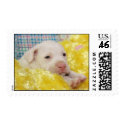 Springtime Puppy Love postage