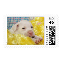 Springtime Puppy Love postage by beverlytazangel Springtime Puppy Love postage
