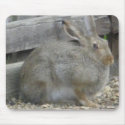Springtime Rabbit mousepad