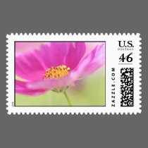Springtime Softness postage