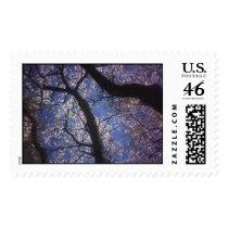 springtime trees postage by twinapollo springtime trees postage