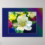 Springtime Tulip Poster posters