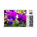 Springtime Violas postage by KirbyParker Springtime Violas postage
