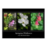 Springtime Wildflowers Print
