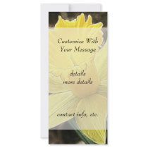 Springtime Yellow Daffodil Rack Card