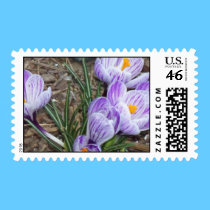 Springtime's Season Blooms Purple Crocuses stamps