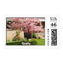 springtree, finally postage