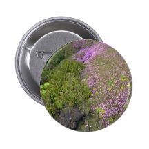 Sprinkled On The Ground Button