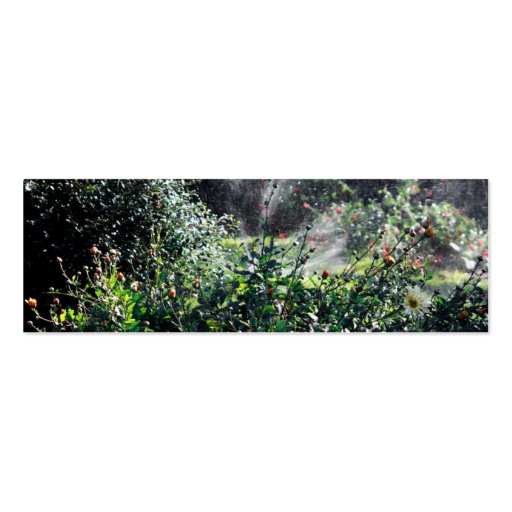 Sprinkler in the garden craquelure business card template (front side)
