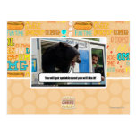 Sprinkles postcards