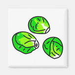 Sprouts Fridge Magnets
