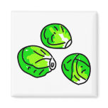 Sprouts Fridge Magnets