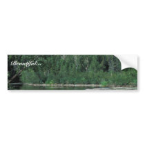 Spruce and Birch Forest along Kanuti river Bumper Stickers