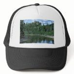 Spruce and Birch Forest along Kanuti river