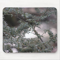 Spruce Tree Abstract mousepad