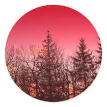 Spruce Tree Silhouette stickers by nmpics Spruce Tree Silhouette stickers