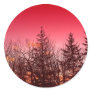 Spruce Tree Silhouette
